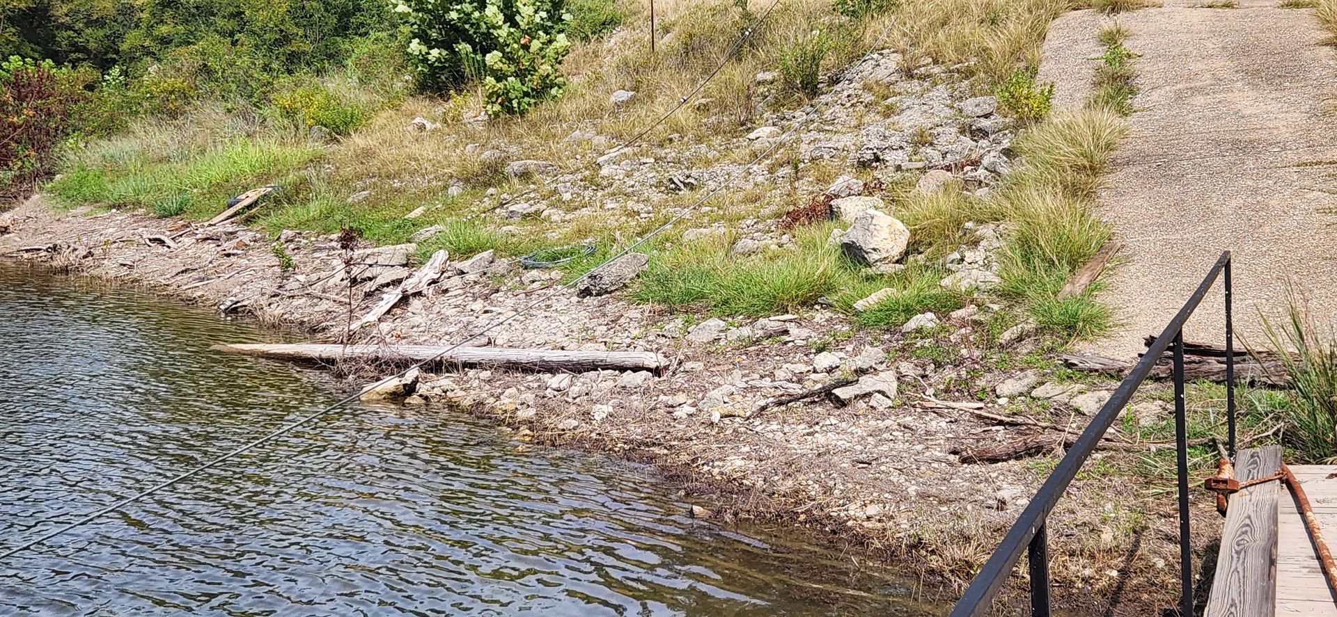A shore of a lake with small rocks and a log. Green grass and a metal railing are in the frame.