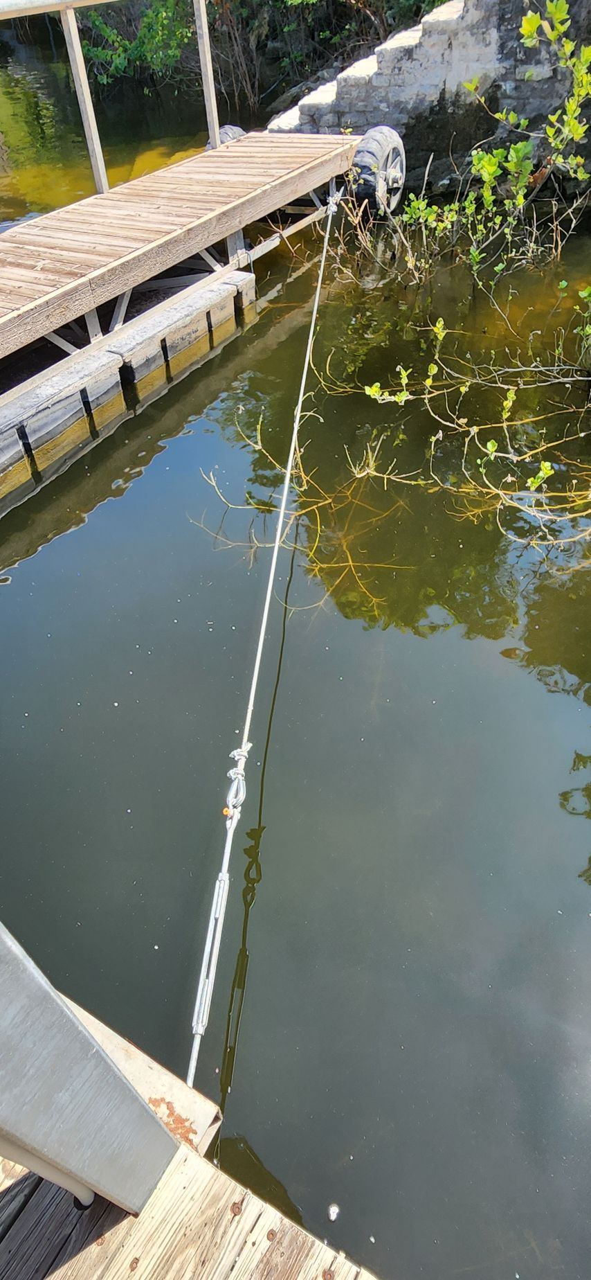 Wooden dock extends over murky water with a white rope in the center. Vegetation lines the far bank.