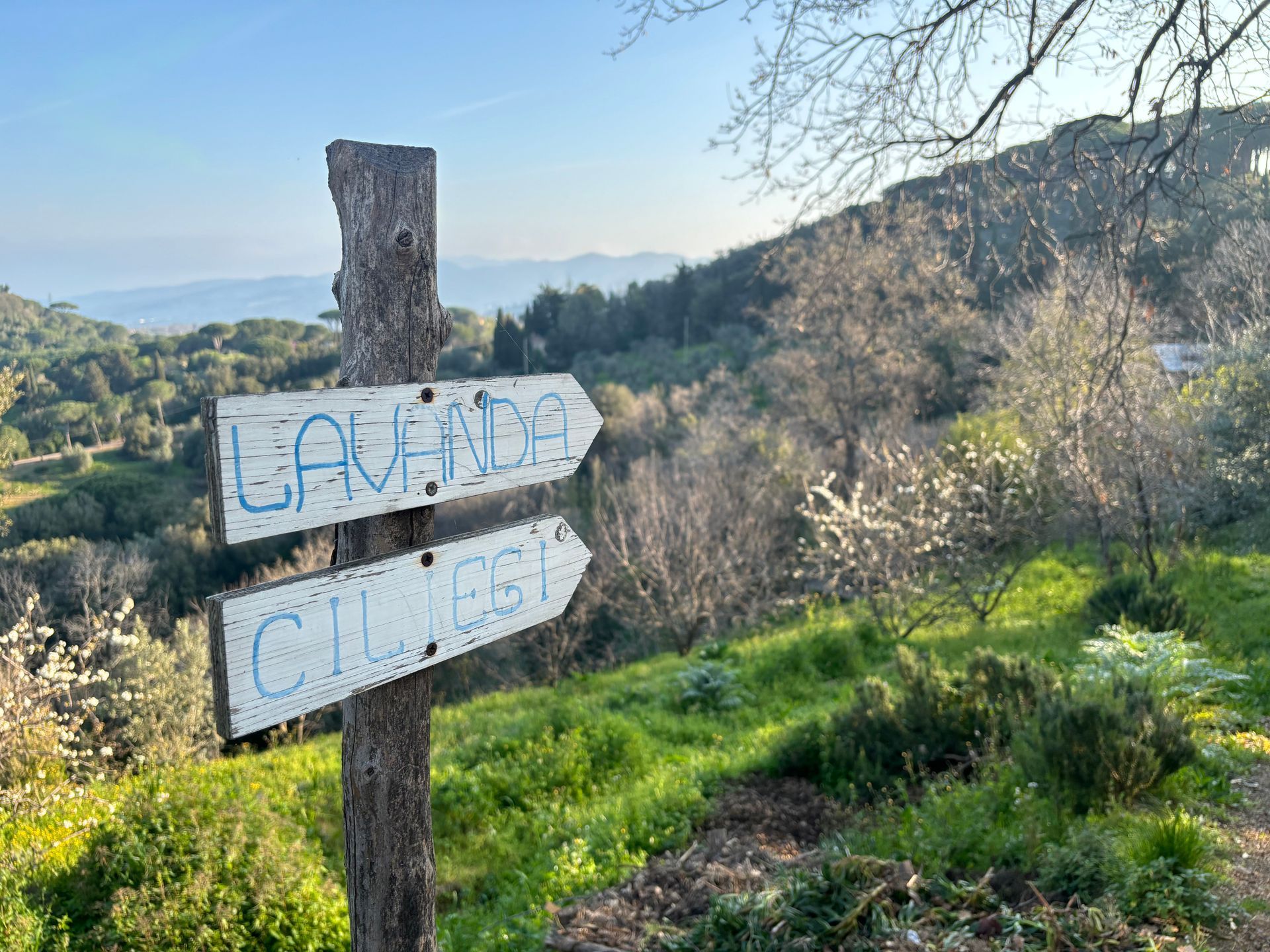 Signs to the ecolodges at La Gallinella glamping.
