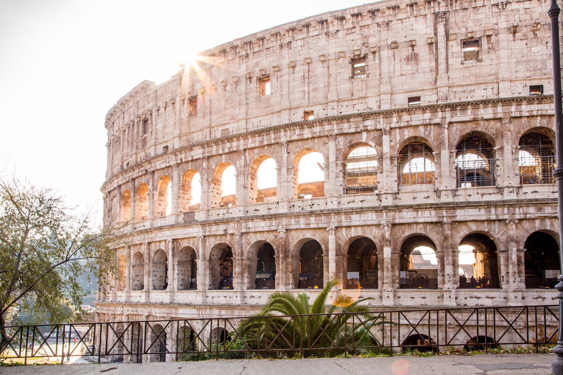 St. Peter's Basilica in Vatican City, seen from afar, with its iconic dome and framed by trees.