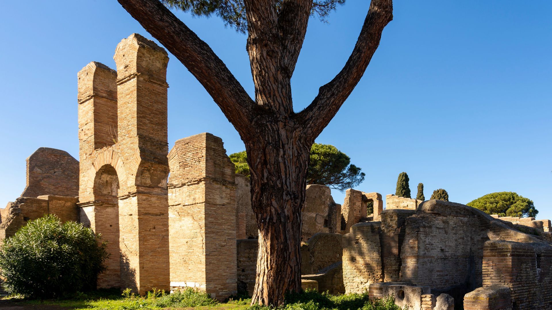Ruins of ancient Roman structures with a tree in the foreground under a clear blue sky.
