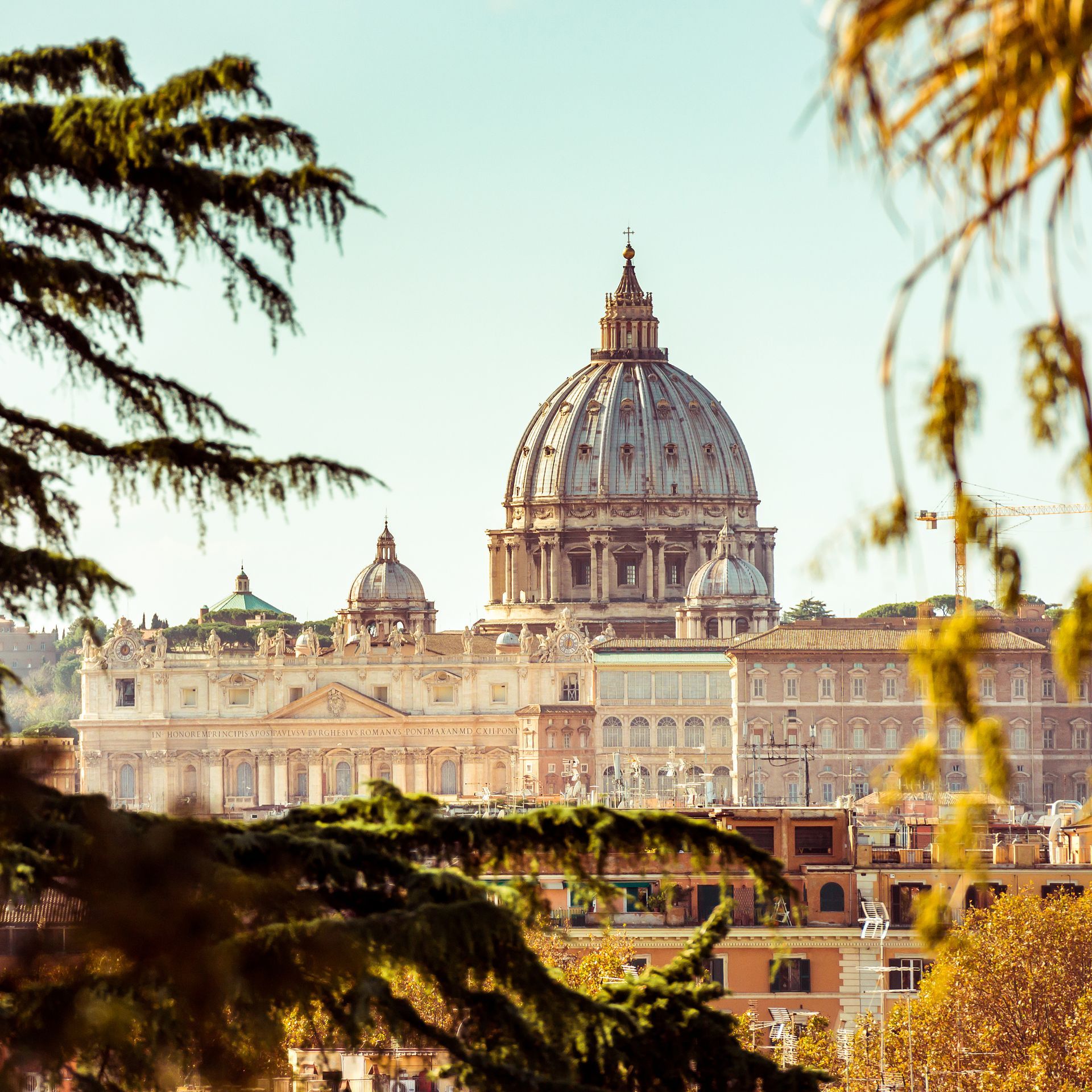 St. Peter's Basilica in Vatican City, seen through tree branches, with blue sky.