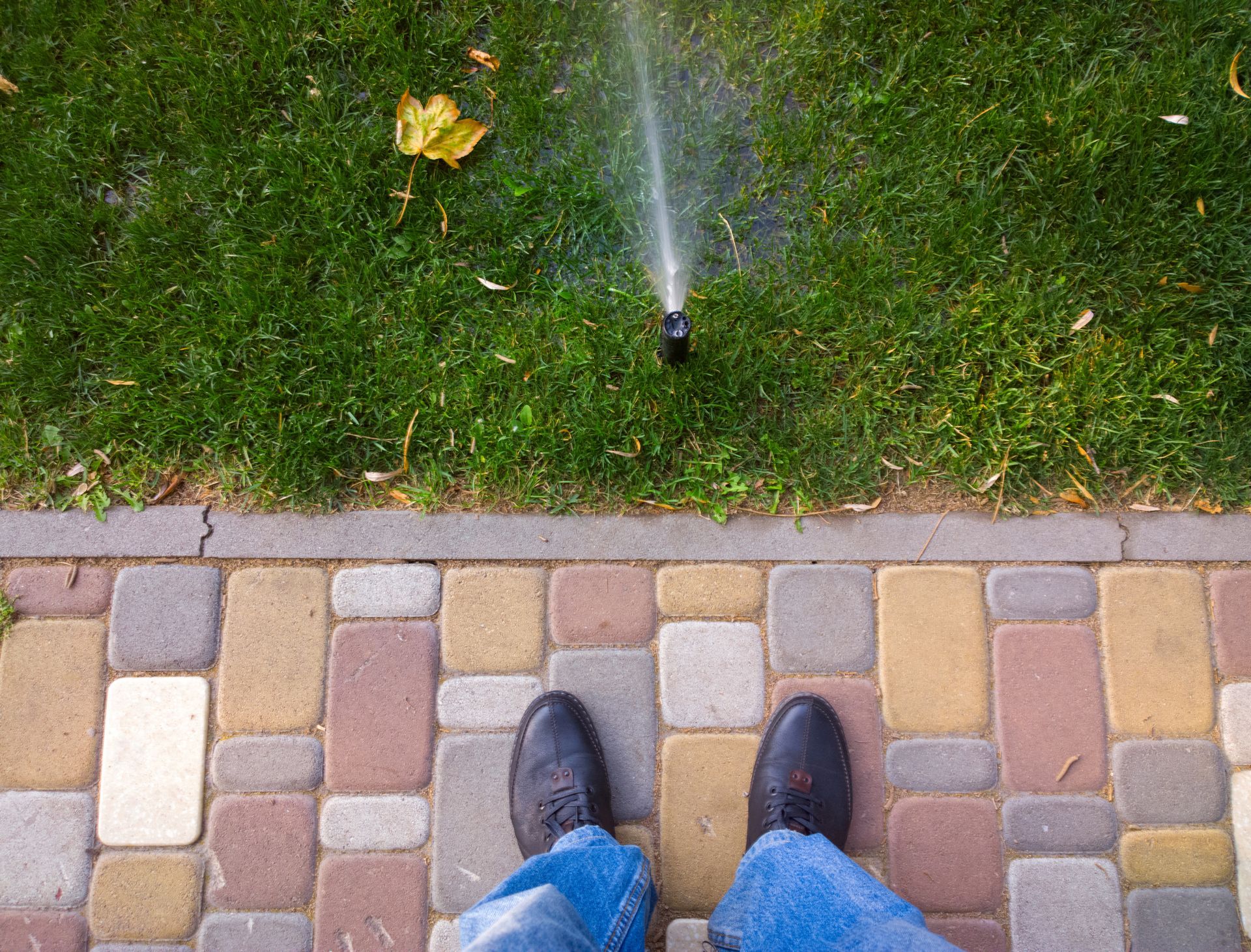 A person stands on a cobblestone path, looking at a sprinkler watering the yard