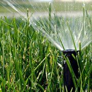 New Sprinkler in Grassland — Las Vegas, NV — A Ronnow Lawn Sprinkler Inc