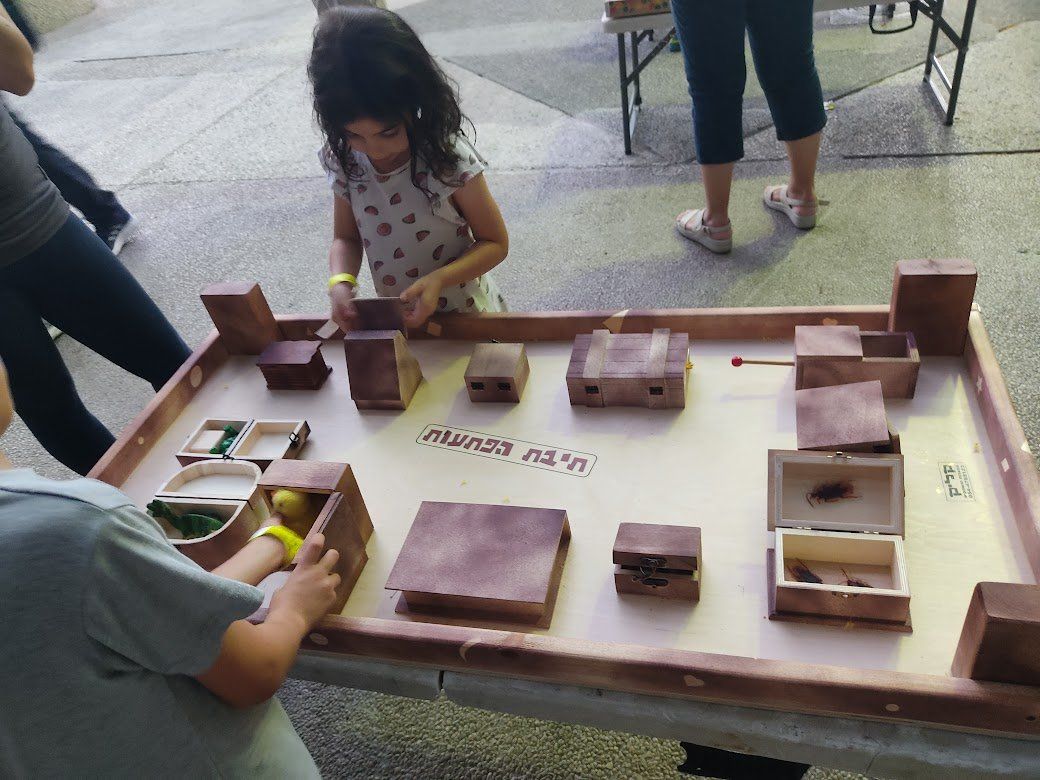 תיבת הפתעות - פותחים את התיבות ומגלים הפתעות