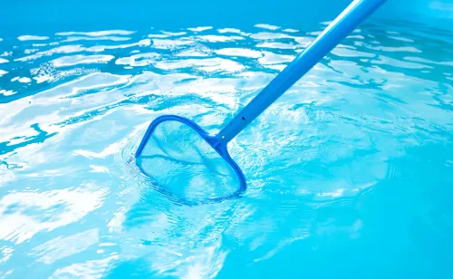 A blue net is being used to clean a swimming pool.