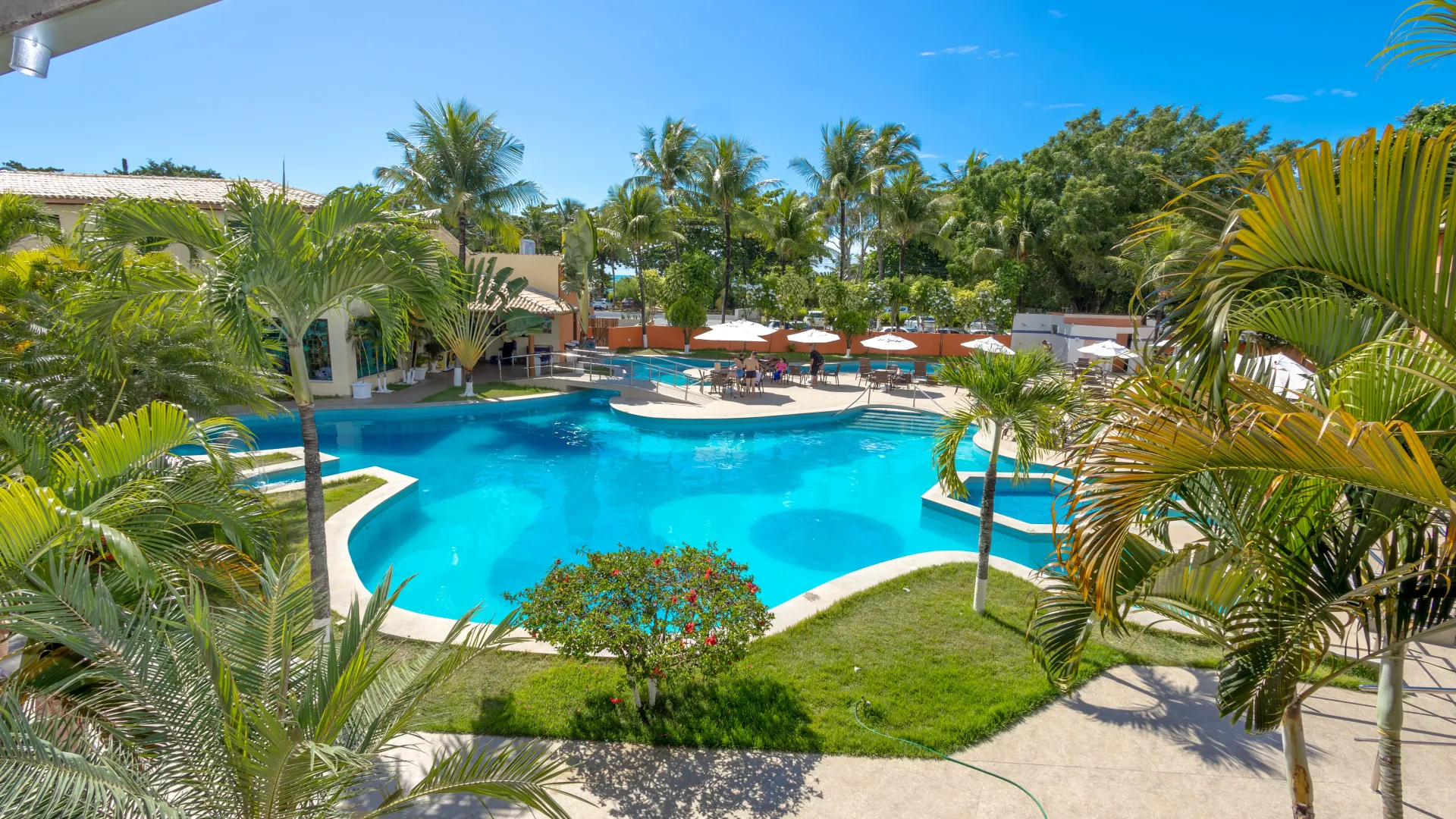 Piscina rodeada por palmeiras e vegetação em um resort num dia ensolarado.