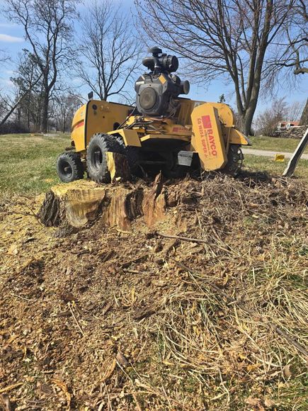 A yellow stump grinder is cutting a tree stump in a field.