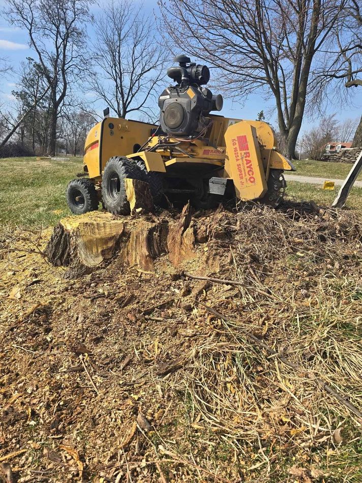 A yellow stump grinder is cutting a tree stump in a field.