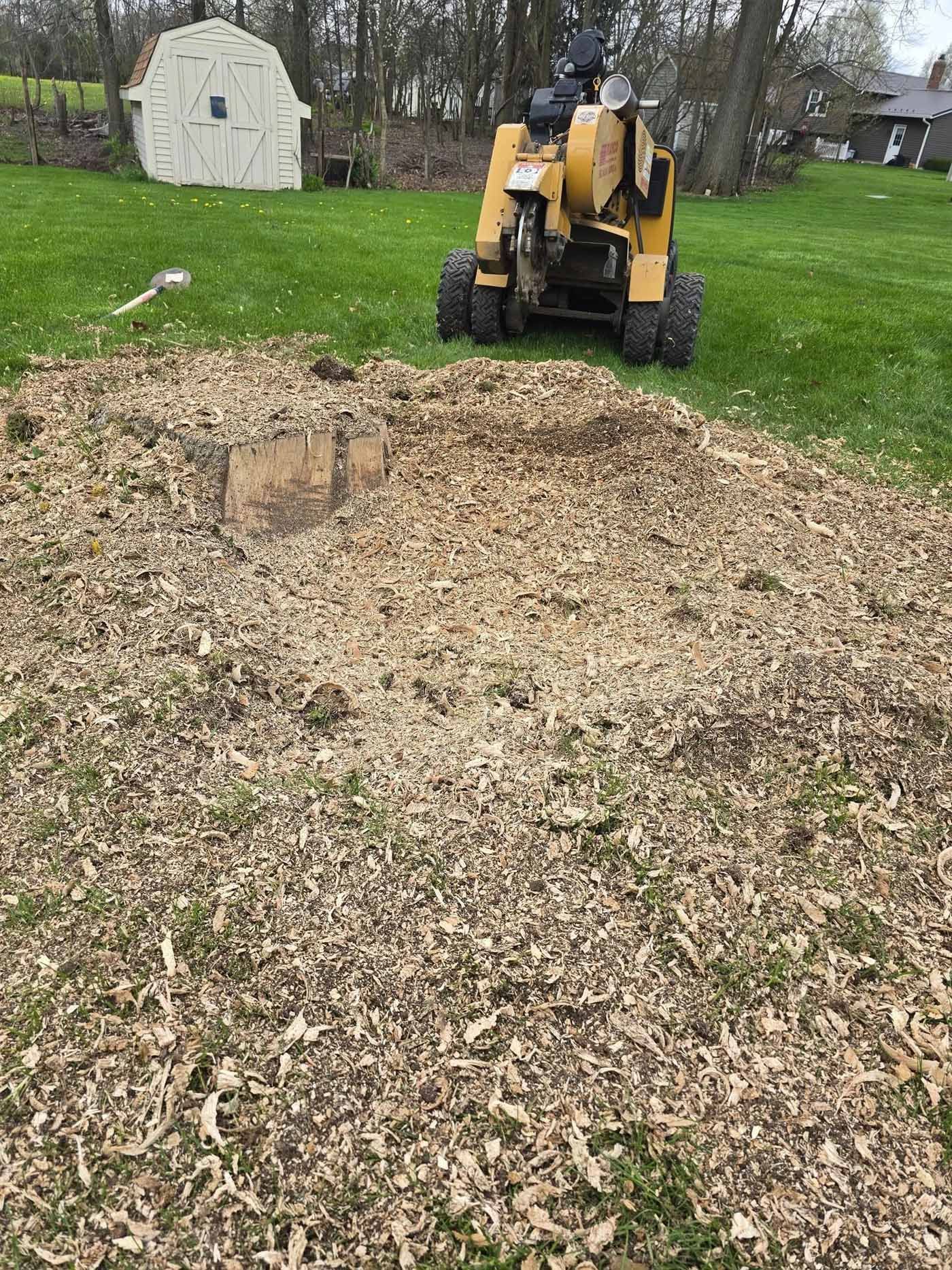 A yellow stump grinder is cutting a tree stump in a field.