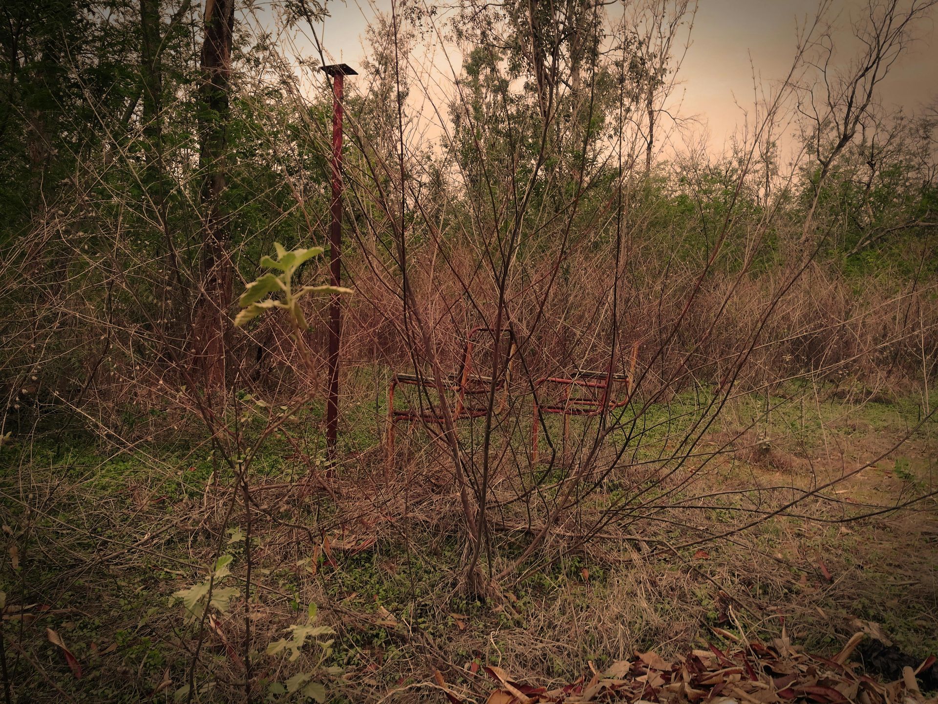 A yellow stump grinder is cutting a tree stump in a field.