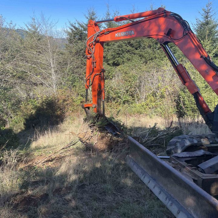 Professional Excavation Services