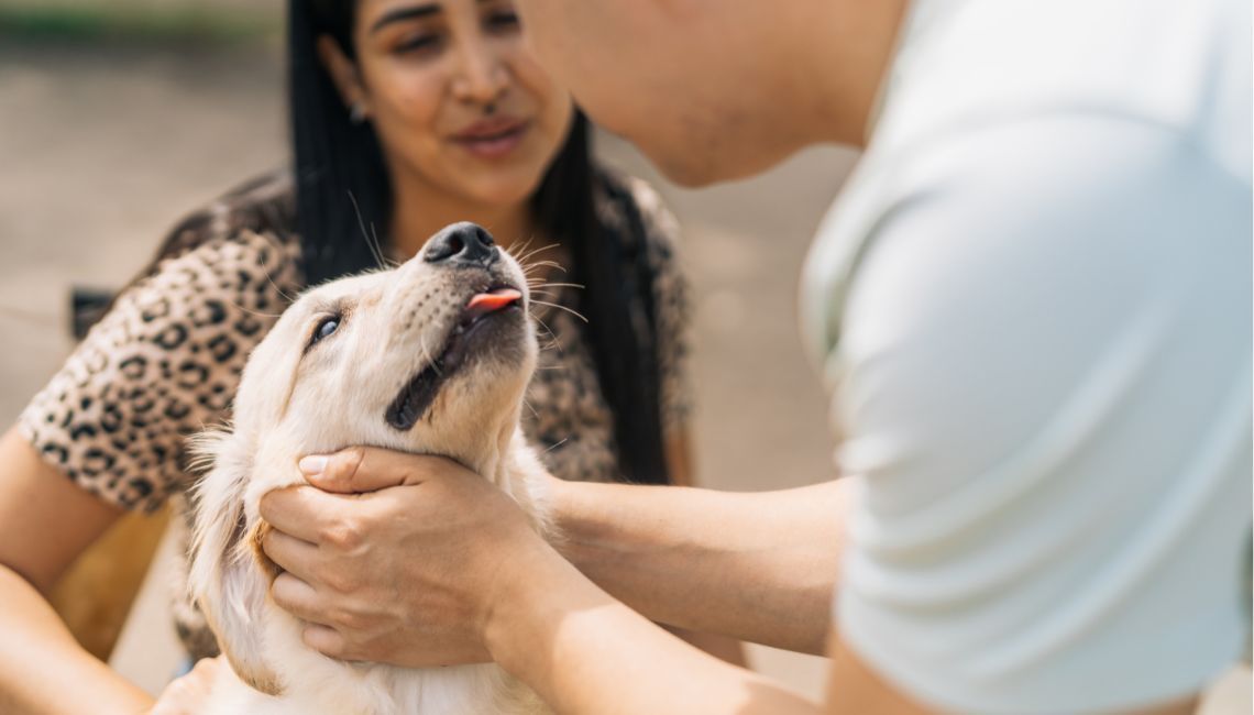 Mano sosteniendo suavemente la cabeza de un cachorro color crema; mujer desenfocada al fondo.