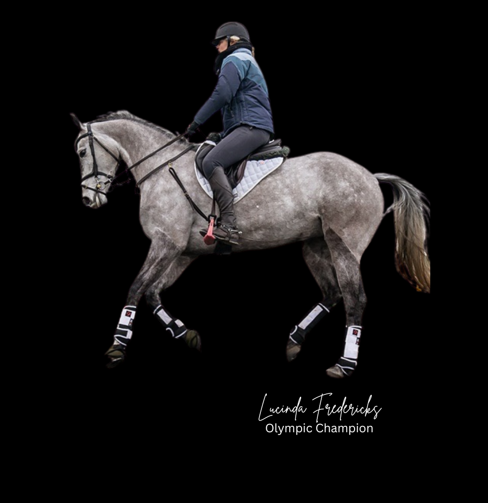 Horse in action wearing HUSK gear