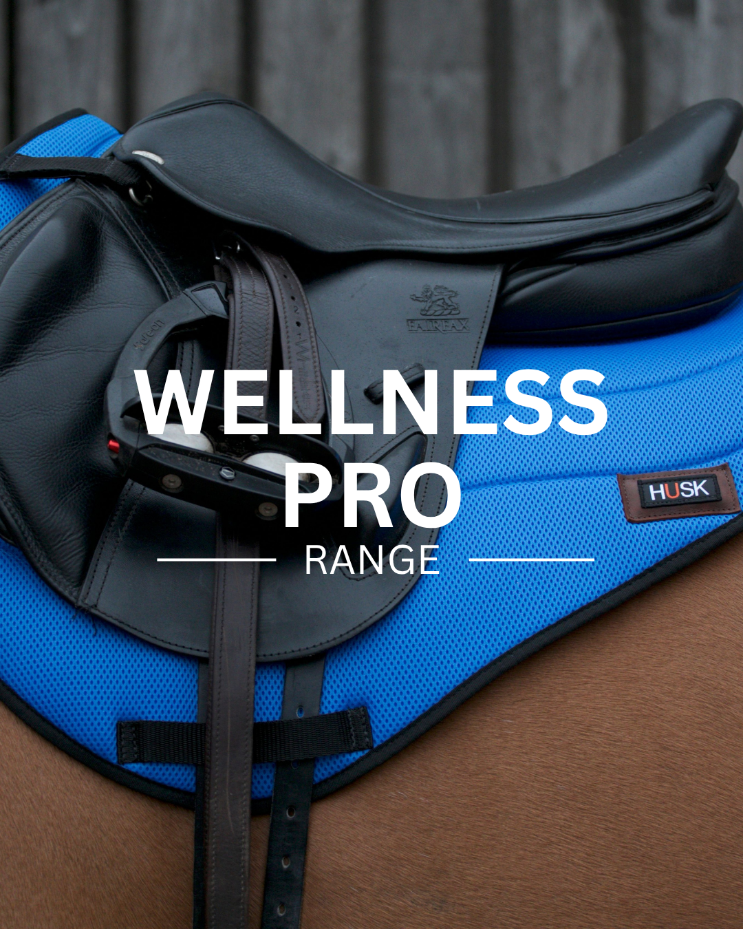 Black horse saddle on a blue pad;