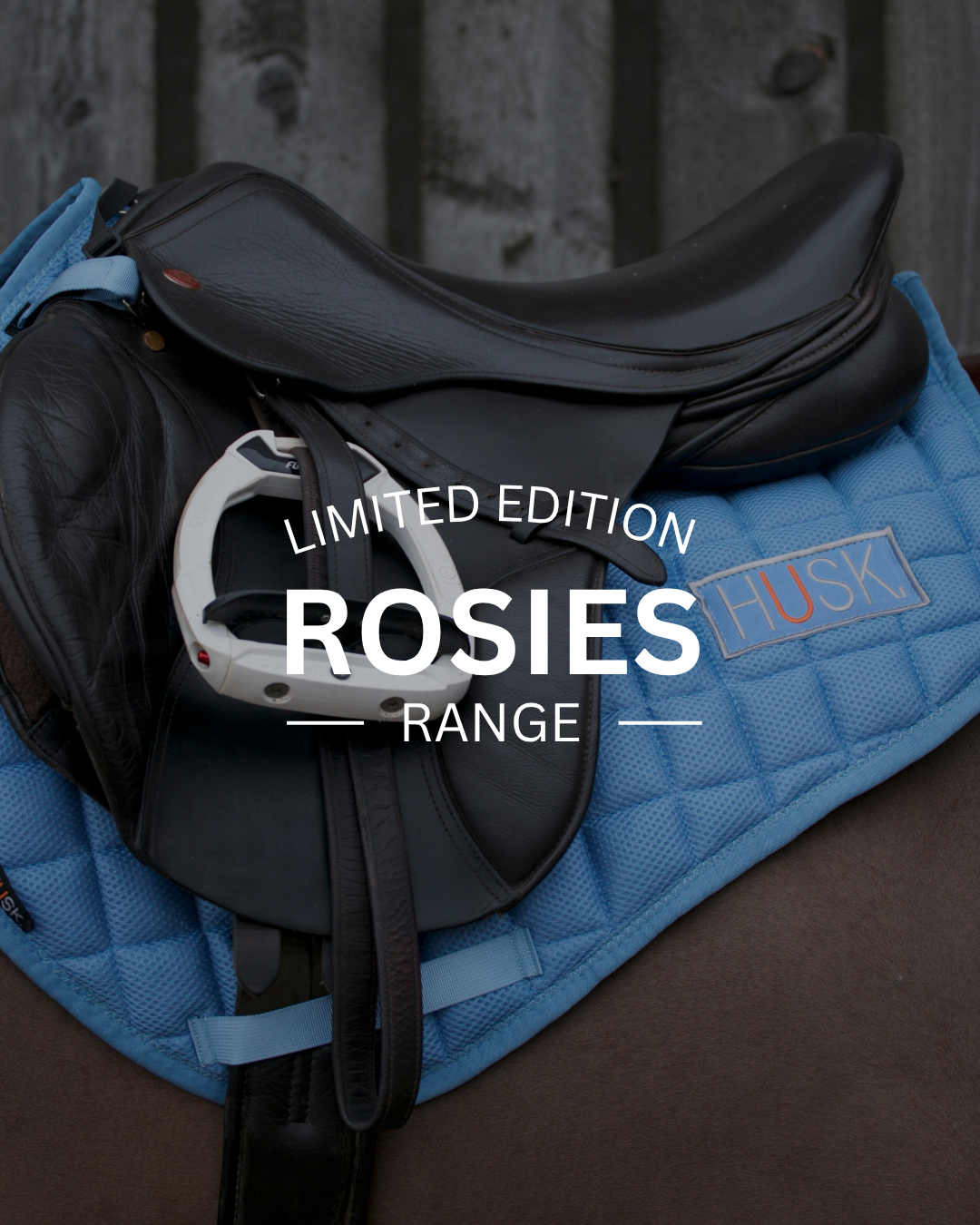 Black saddle with white stirrup on a blue quilted pad.