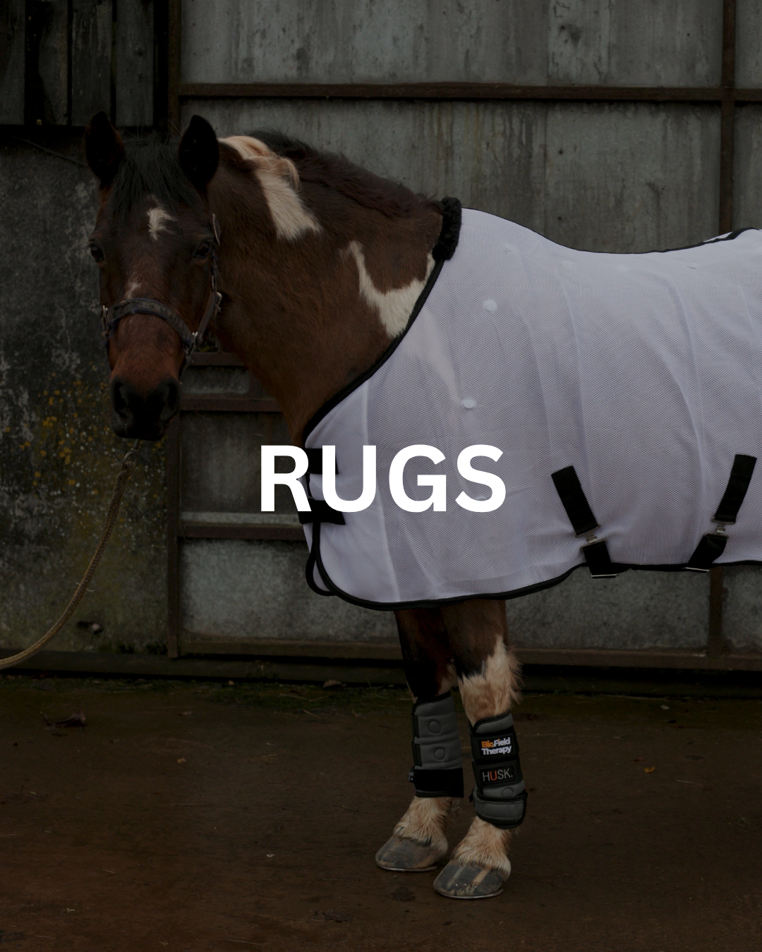 Horse wearing a white rug, with