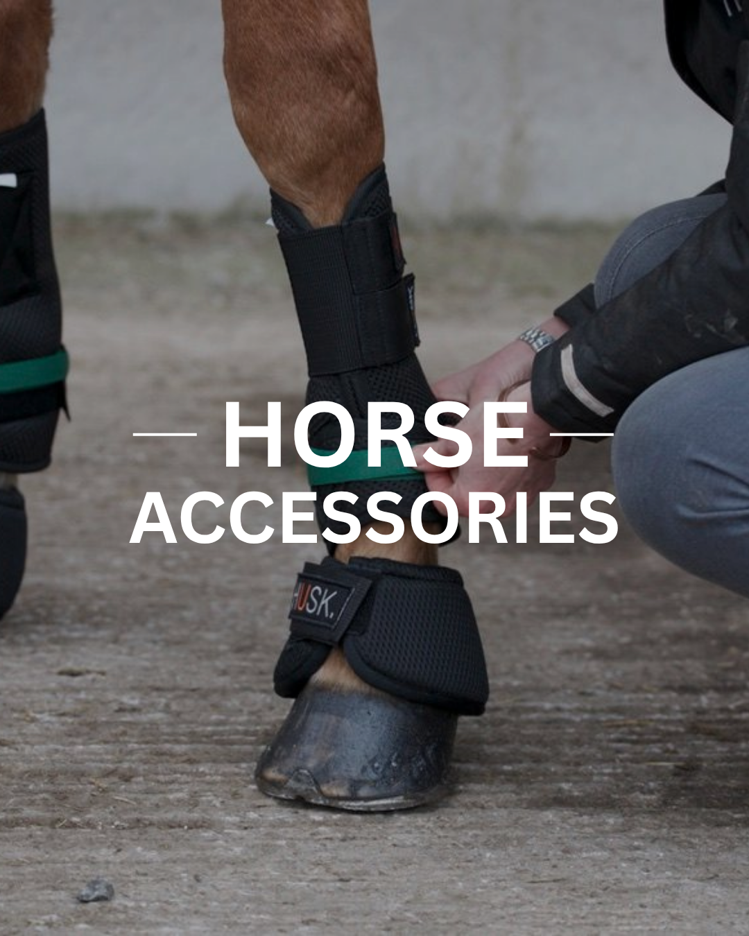 Horse leg wrapped in protective gear; person adjusts it;