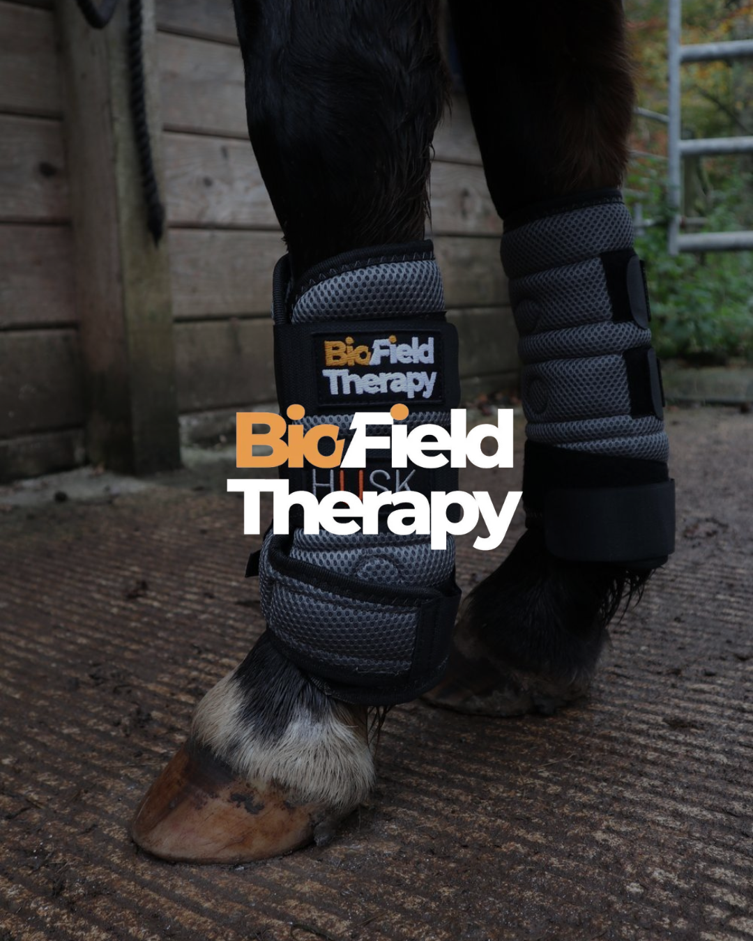 Horse legs with black and gray BioField Therapy wraps in a stable.