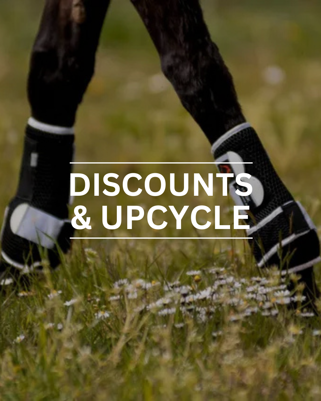 Horse legs with protective boots, text overlay: Discounts & Upcycle.