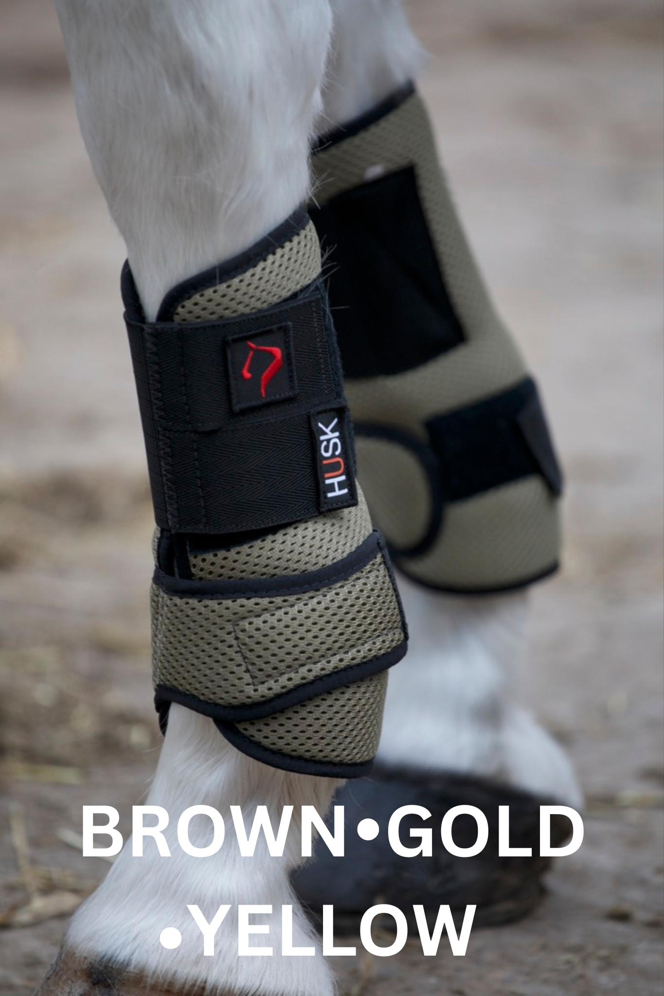 Horse legs in brown and gold protective boots.