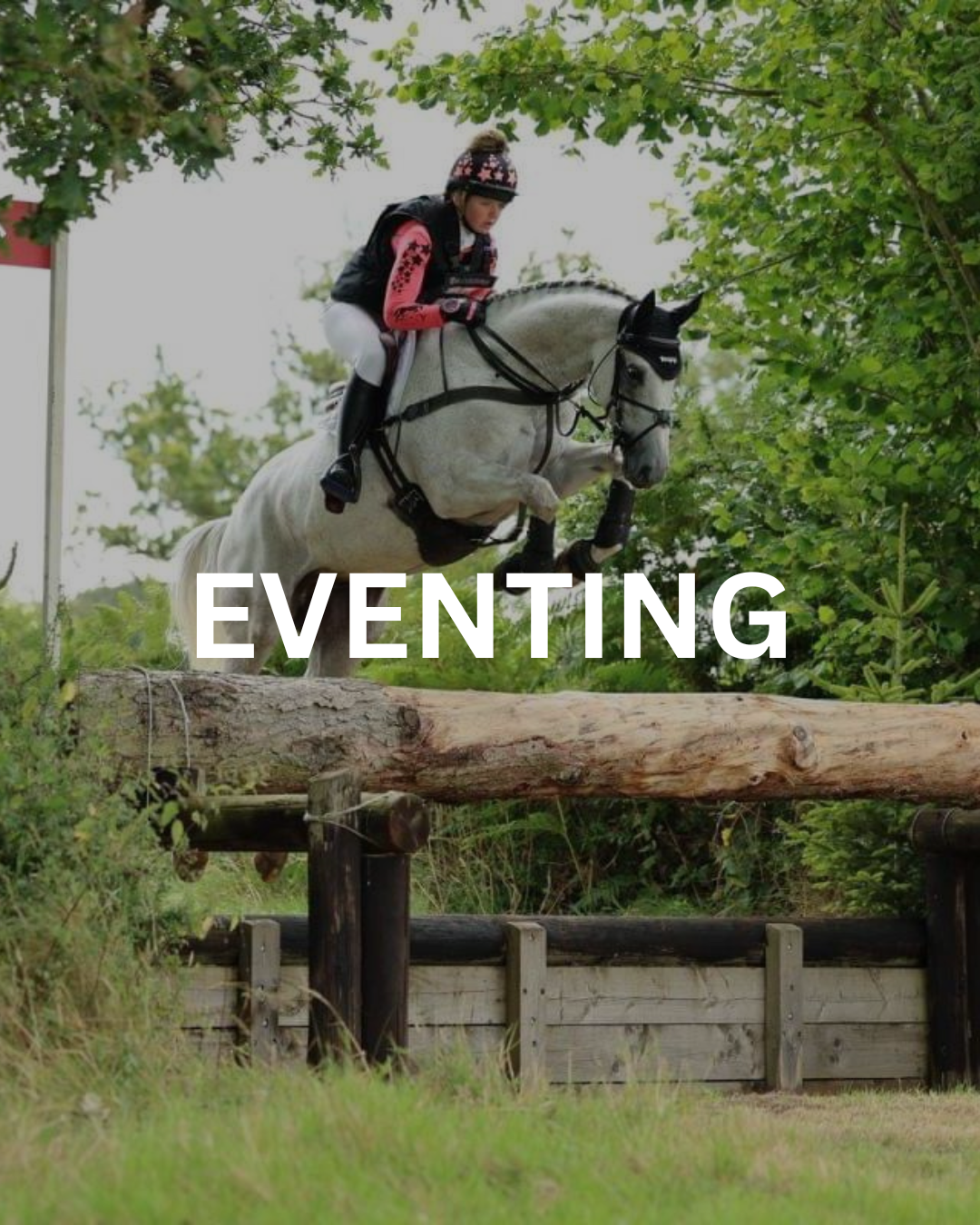 Equestrian eventing: Rider jumping a log obstacle on a gray horse; trees in the background.