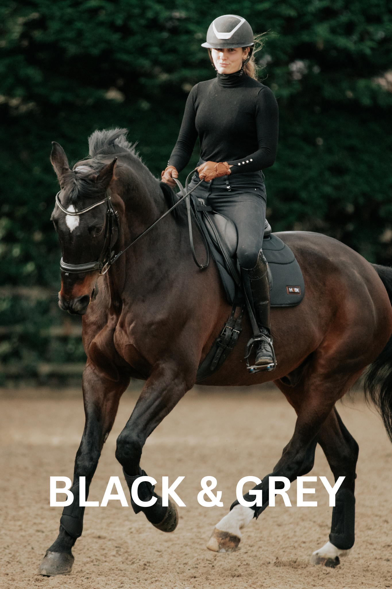 Woman in riding gear on a dark horse. Black and gray color scheme. Riding in an arena.