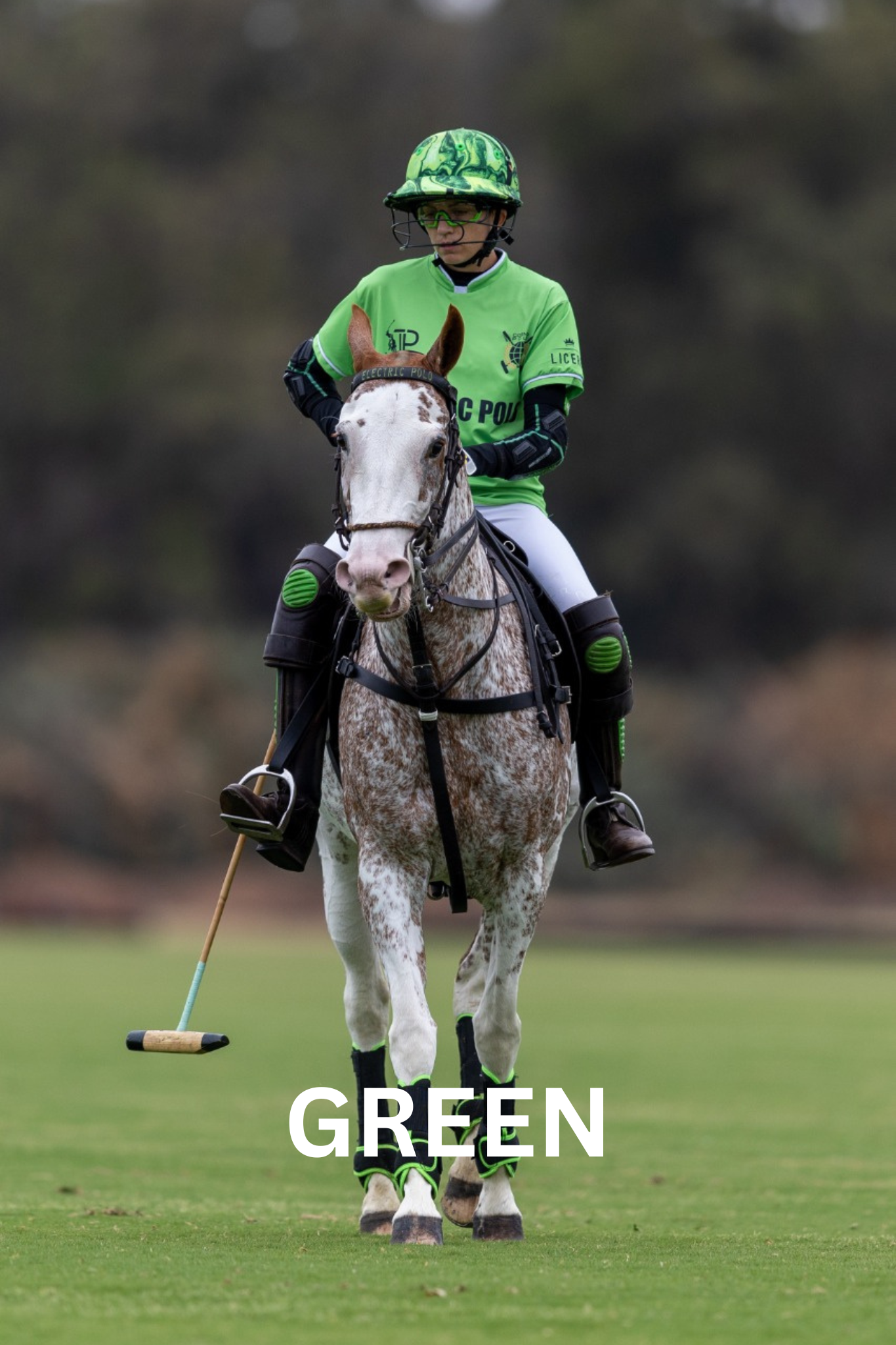 Polo player in green attire on a gray horse, holding a mallet, in a field.