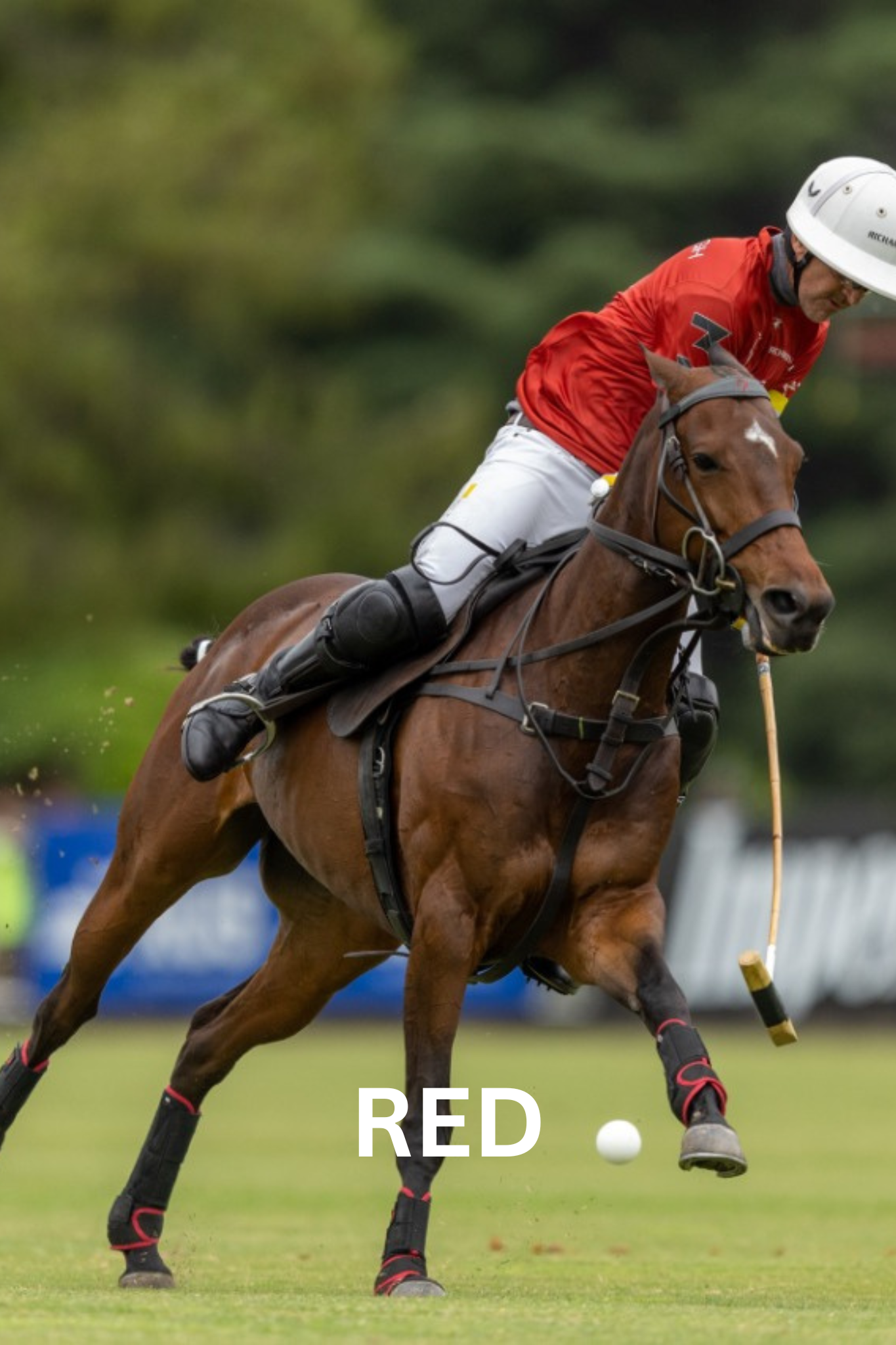 Red-clad polo player on a brown horse swings mallet, chasing a white ball.