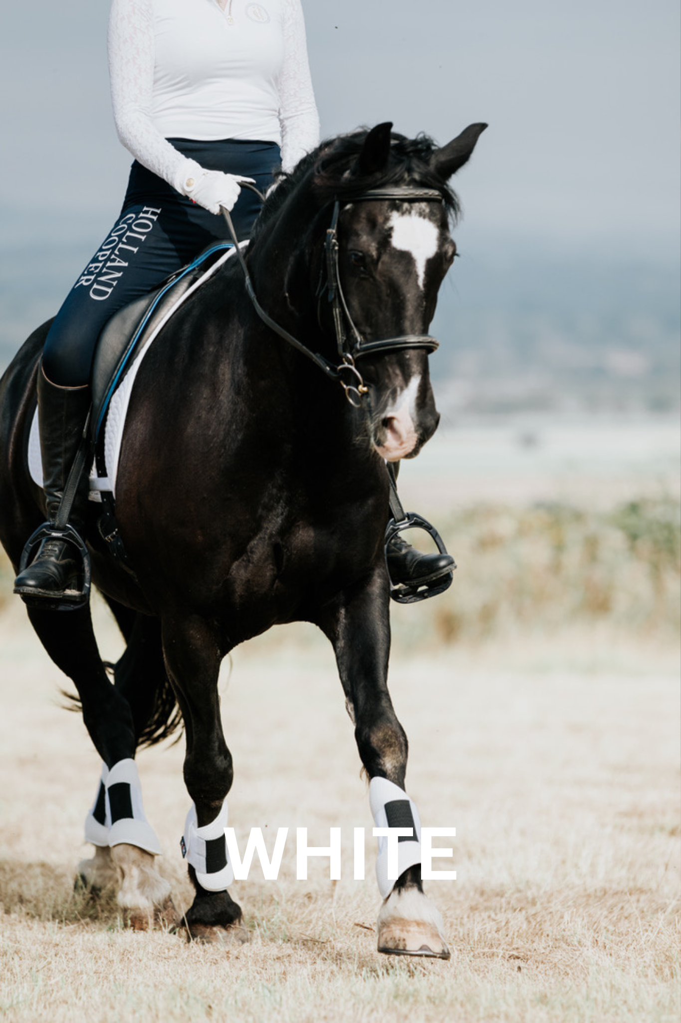 A person on a black horse wearing white leg wraps, riding outdoors.