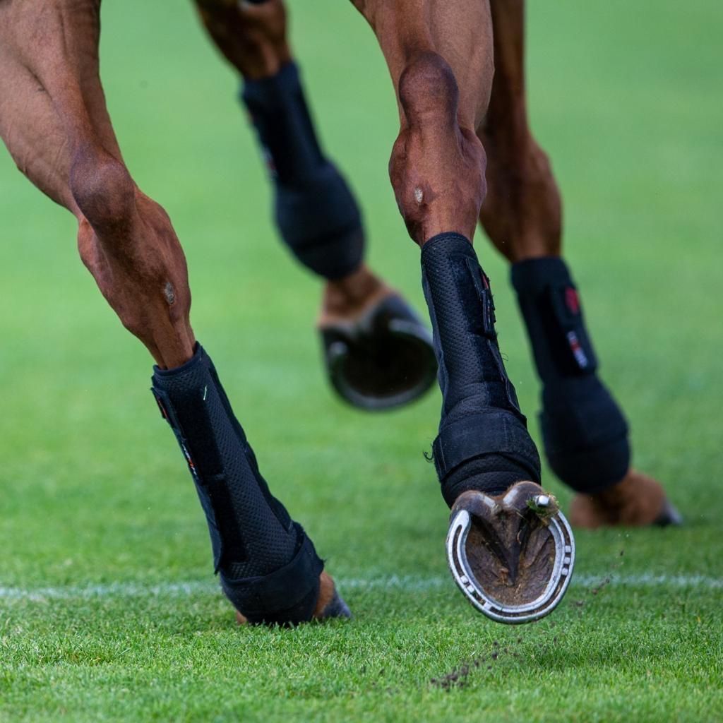 Advanced HUSK horse leg protection boots for performance and safety