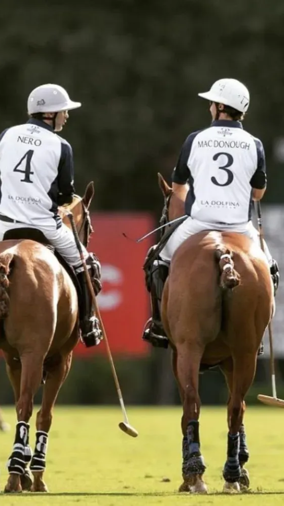 Three polo players on horseback, backs to the viewer, wearing numbered jerseys and helmets on a grassy field.