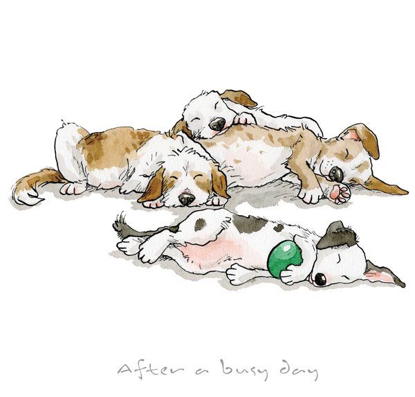 After A Busy Day - Anita Jeram