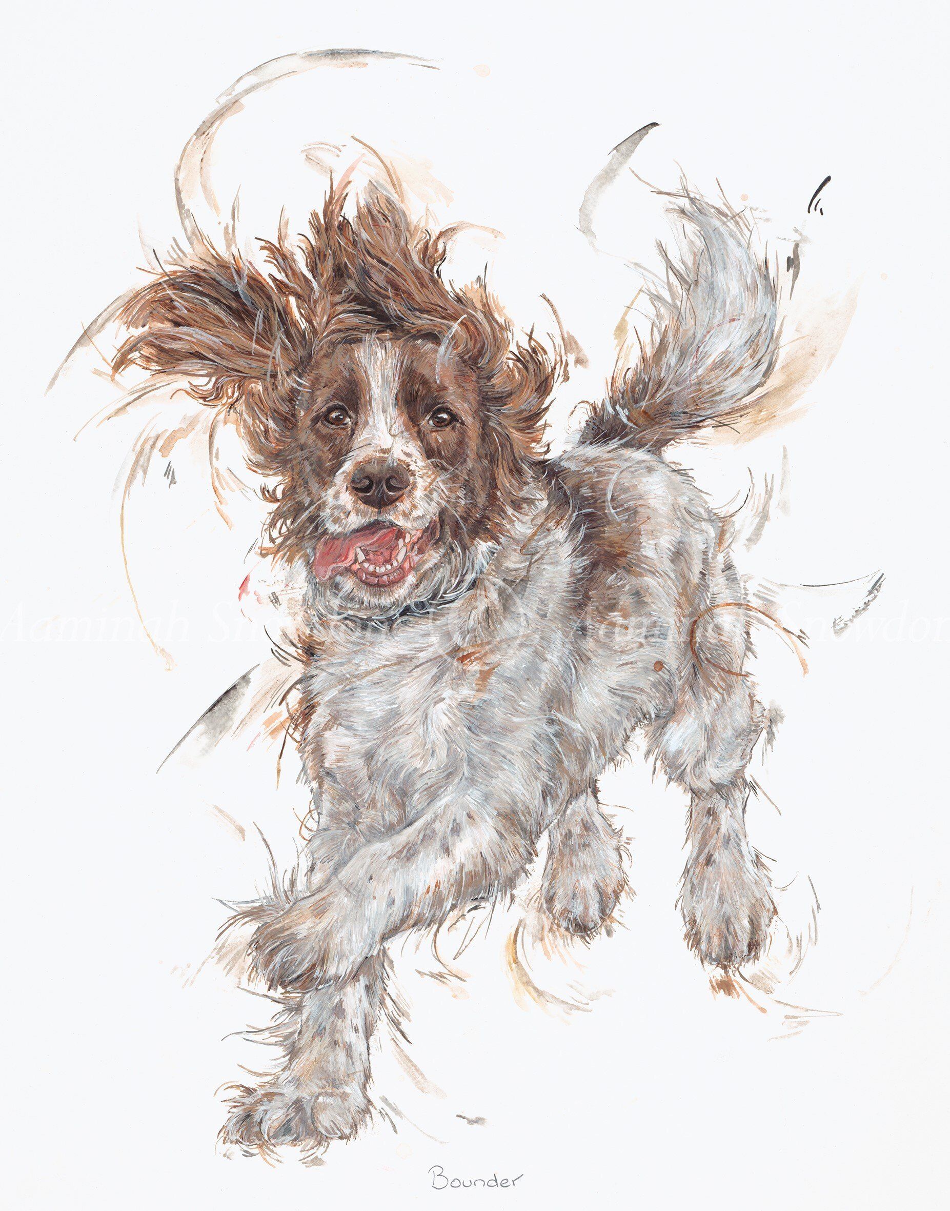 Bounder - Aaminah Snowdon