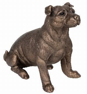 Bruce Staffordshire Bull Terrier - Harriet Dunn - £55
