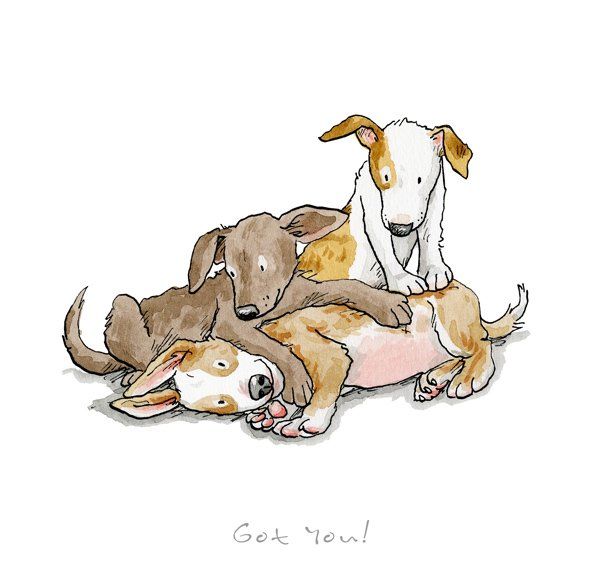 Got You! - Anita Jeram