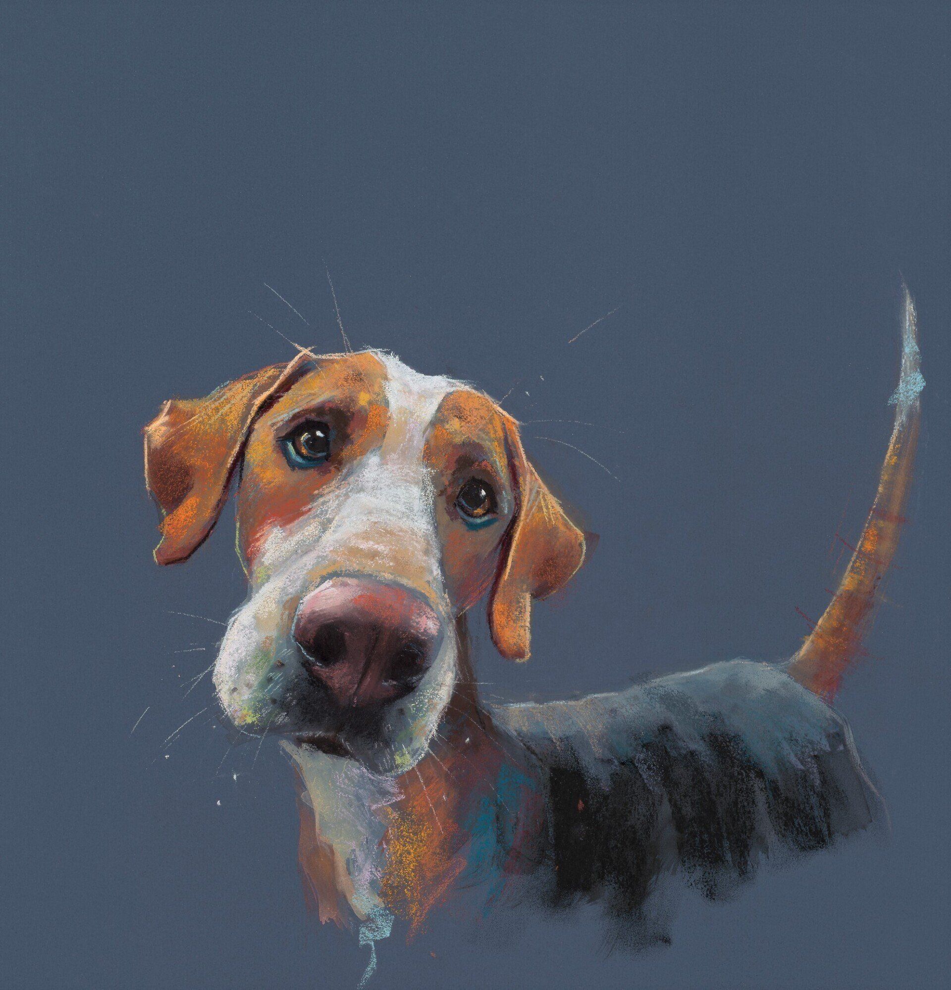 Hound Dog - Nicky Litchfield
