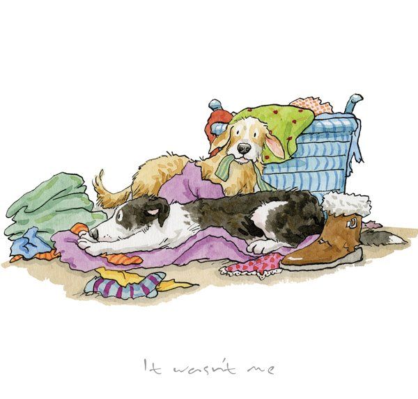 It Wasn't Me - Anita Jeram