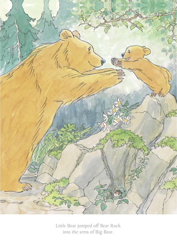 Little Bear Jumped Off Bear Rock - Barbara Firth