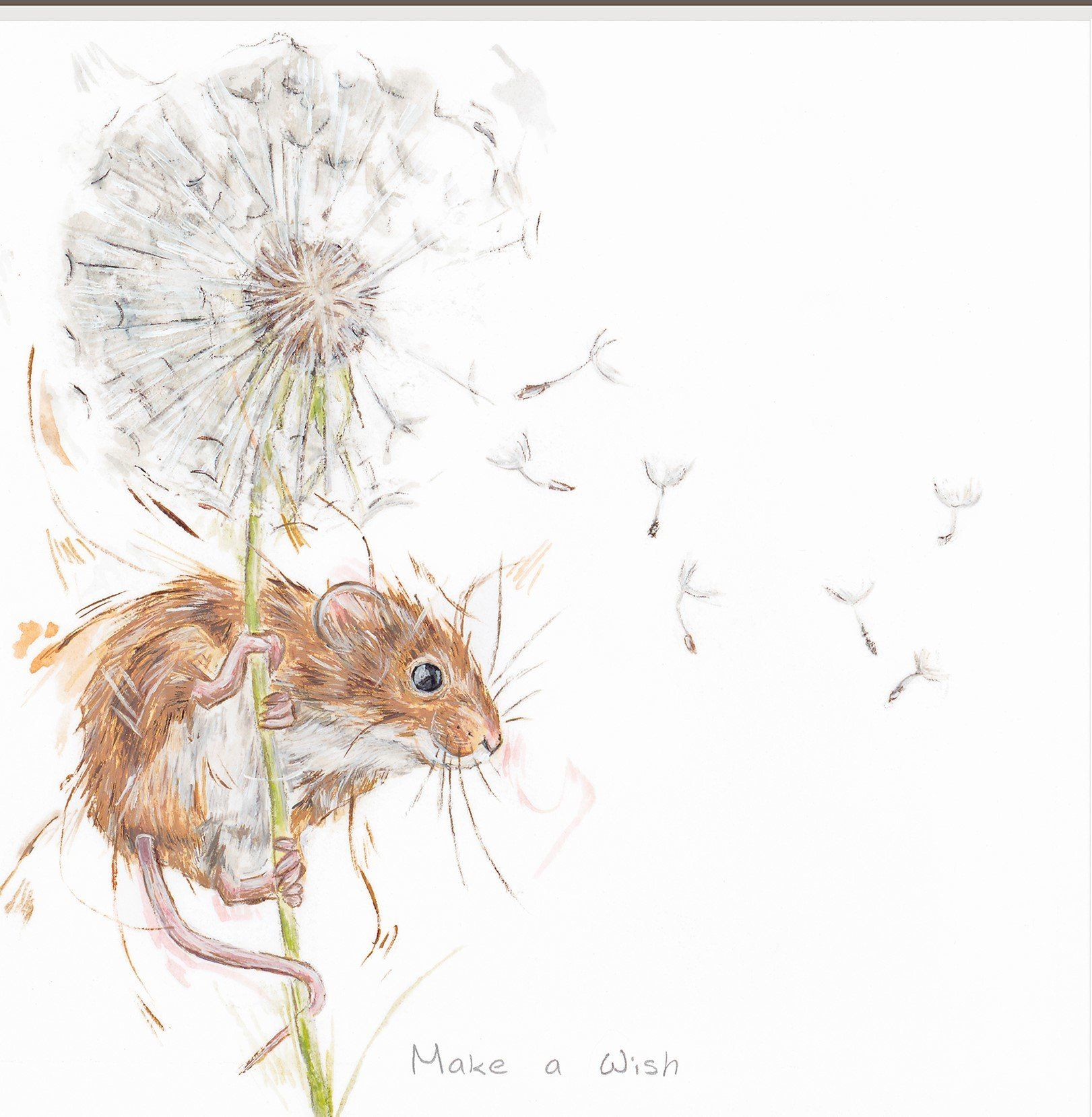 Make A Wish - Aaminah Snowdon