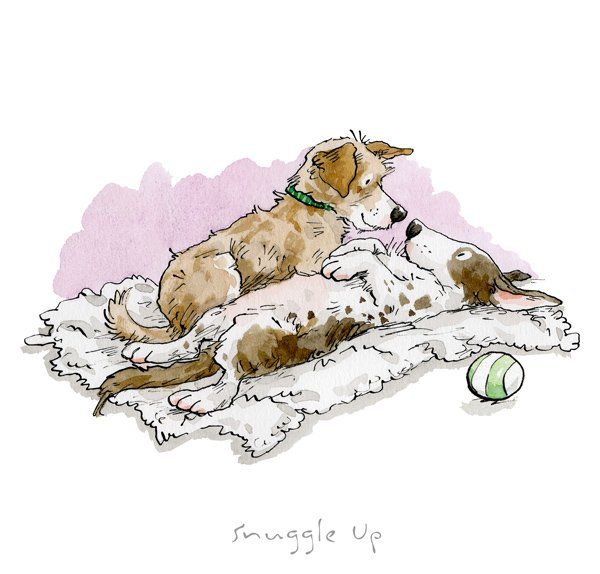 Snuggle Up - Anita Jeram
