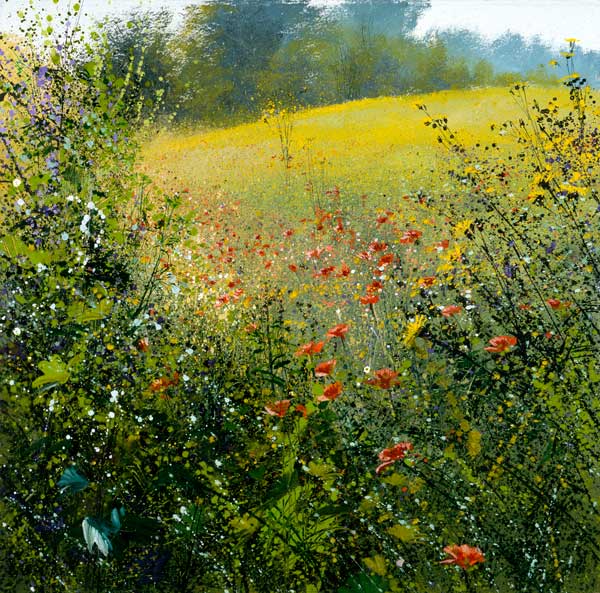 Summer Meadow - Paul Evans