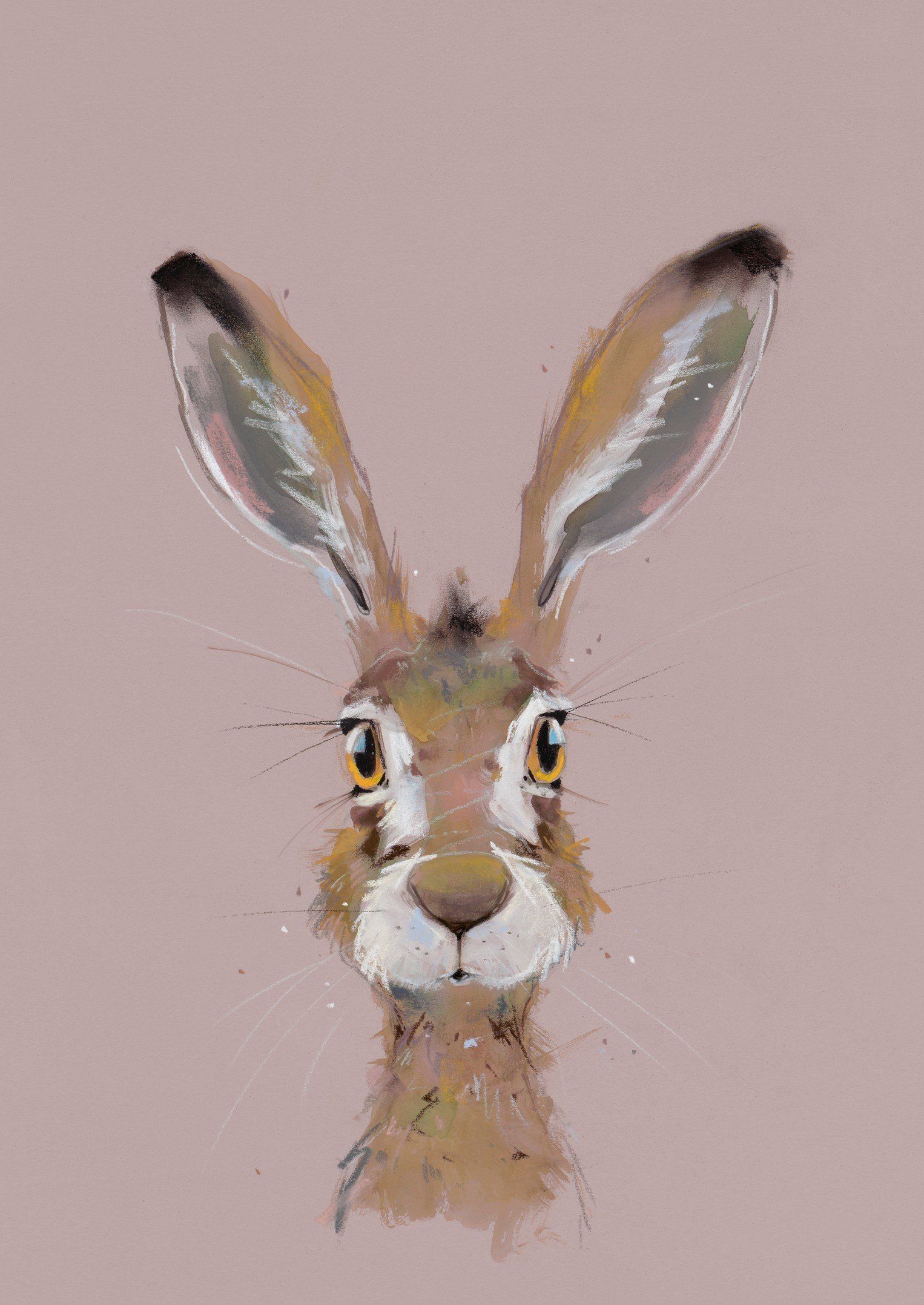 Surprise - Nicky Litchfield