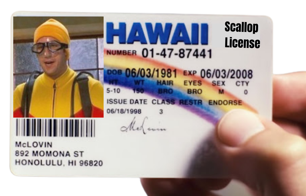 Scalloping License