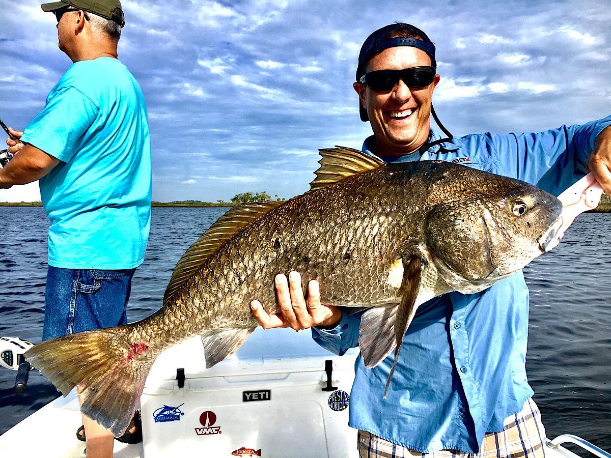 Cedar Key Black Drum Fishing