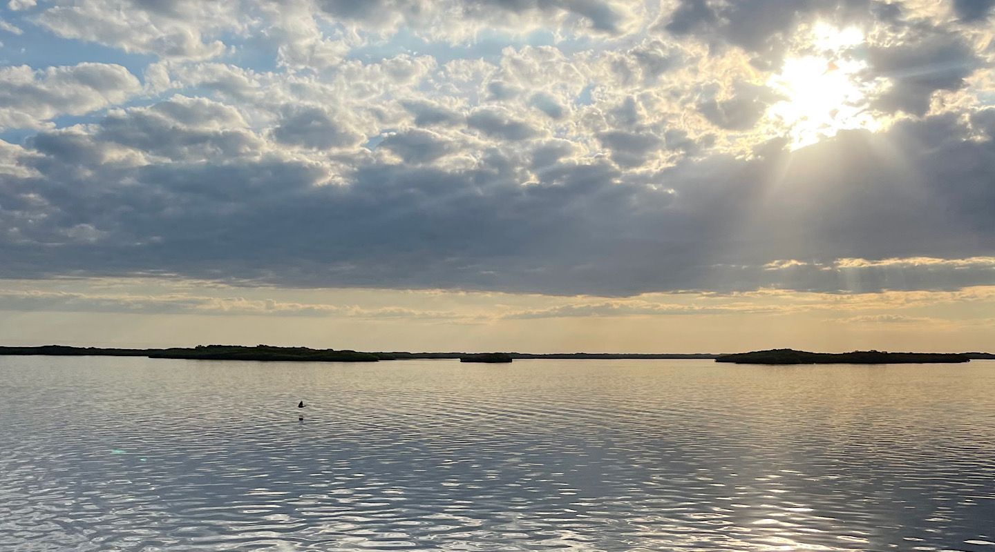 Homosassa Fishing