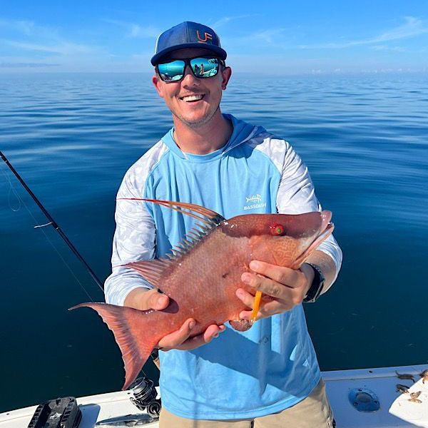 Hogfish Trips Crystal River