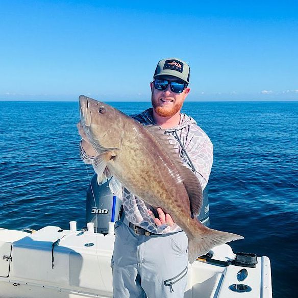 Grouper Fishing Charters
