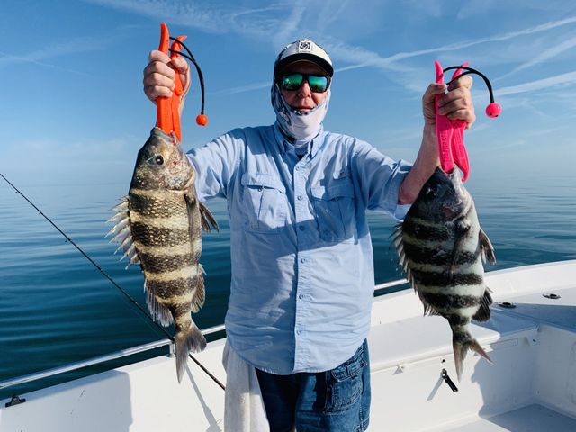 How To Catch Sheepshead Fish - A Complete Guide - Tyler's Fishing