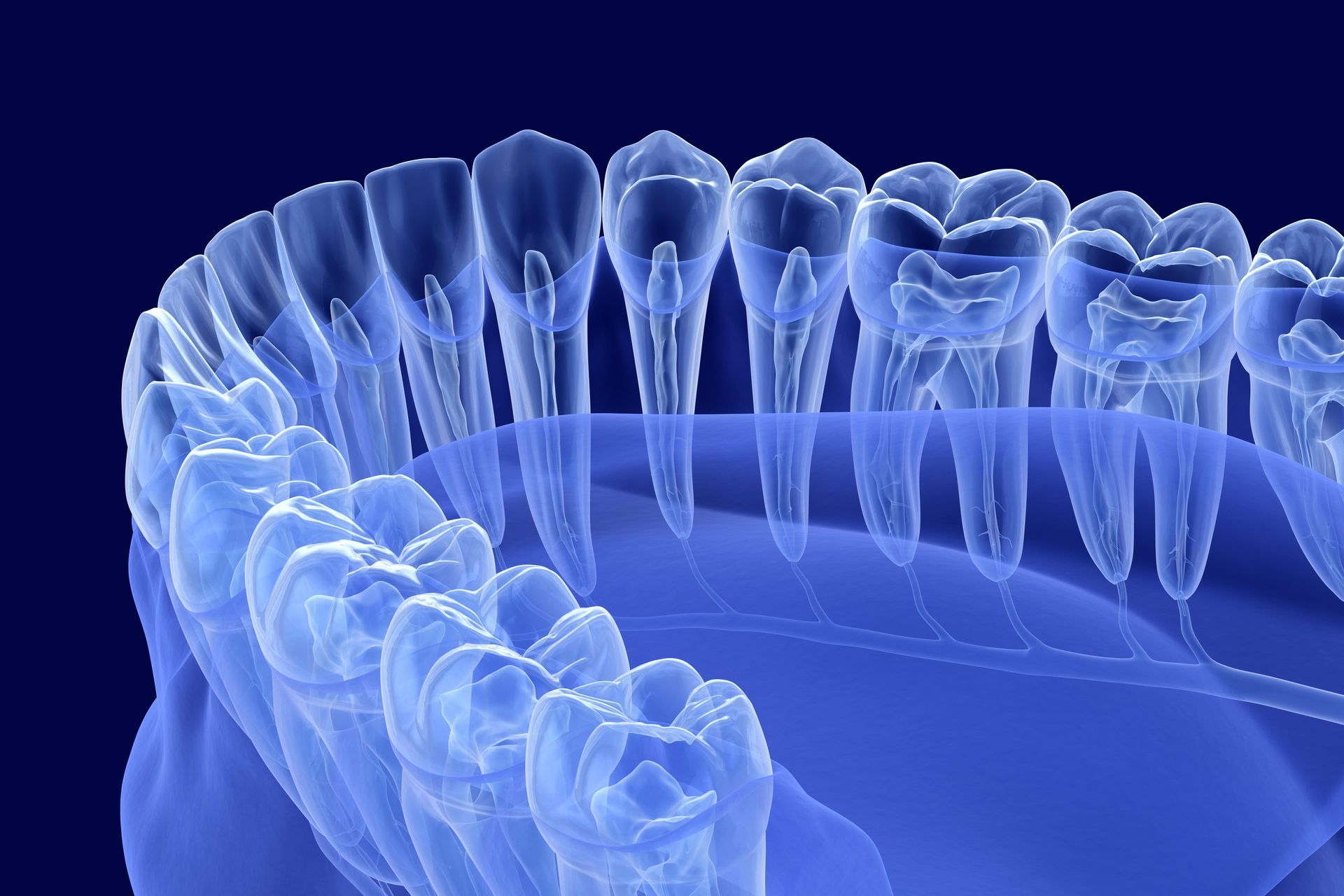 A computer generated image of a row of teeth on a blue background